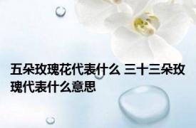 五朵玫瑰花代表什么 三十三朵玫瑰代表什么意思