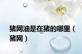 猪网油是在猪的哪里（猪网）
