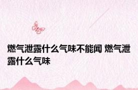 燃气泄露什么气味不能闻 燃气泄露什么气味
