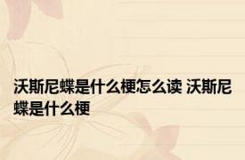 沃斯尼蝶是什么梗怎么读 沃斯尼蝶是什么梗