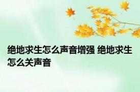 绝地求生怎么声音增强 绝地求生怎么关声音