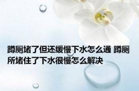 蹲厕堵了但还缓慢下水怎么通 蹲厕所堵住了下水很慢怎么解决