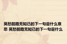 莫愁前路无知已的下一句是什么意思 莫愁前路无知已的下一句是什么