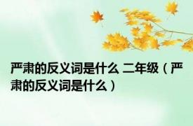 严肃的反义词是什么 二年级（严肃的反义词是什么）
