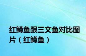 红鳟鱼跟三文鱼对比图片（红鳟鱼）