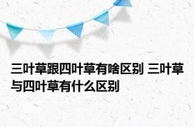 三叶草跟四叶草有啥区别 三叶草与四叶草有什么区别