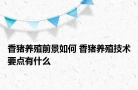 香猪养殖前景如何 香猪养殖技术要点有什么
