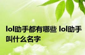 lol助手都有哪些 lol助手叫什么名字