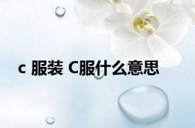 c 服装 C服什么意思