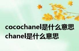 cocochanel是什么意思 chanel是什么意思