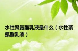 水性聚氨酯乳液是什么（水性聚氨酯乳液）