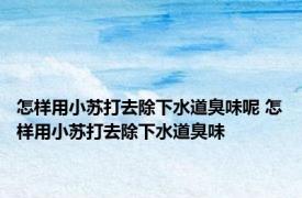 怎样用小苏打去除下水道臭味呢 怎样用小苏打去除下水道臭味
