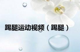 踢腿运动视频（踢腿）