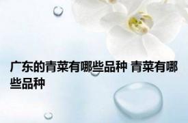 广东的青菜有哪些品种 青菜有哪些品种