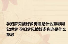 孕妇梦见被好多狗追是什么意思周公解梦 孕妇梦见被好多狗追是什么意思
