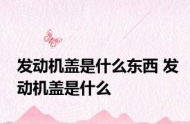 发动机盖是什么东西 发动机盖是什么