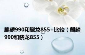 麒麟990和骁龙855+比较（麒麟990和骁龙855）