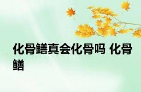 化骨鳝真会化骨吗 化骨鳝 