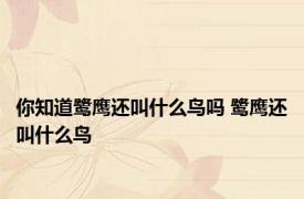 你知道鹭鹰还叫什么鸟吗 鹭鹰还叫什么鸟