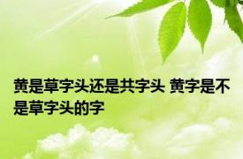 黄是草字头还是共字头 黄字是不是草字头的字