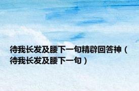 待我长发及腰下一句精辟回答神（待我长发及腰下一句）