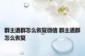 群主退群怎么恢复微信 群主退群怎么恢复