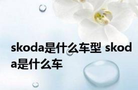 skoda是什么车型 skoda是什么车
