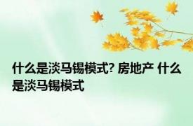 什么是淡马锡模式? 房地产 什么是淡马锡模式