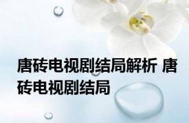 唐砖电视剧结局解析 唐砖电视剧结局
