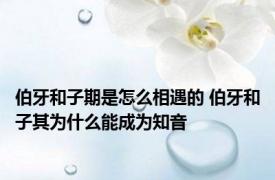 伯牙和子期是怎么相遇的 伯牙和子其为什么能成为知音