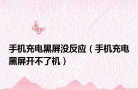 手机充电黑屏没反应（手机充电黑屏开不了机）