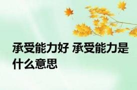 承受能力好 承受能力是什么意思