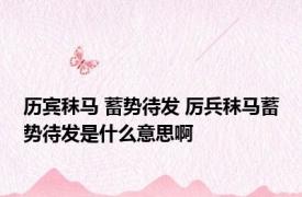历宾秣马 蓄势待发 厉兵秣马蓄势待发是什么意思啊