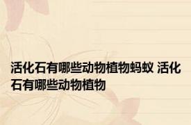 活化石有哪些动物植物蚂蚁 活化石有哪些动物植物