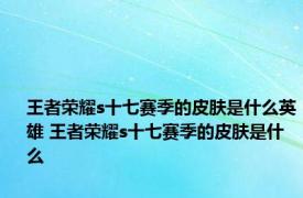 王者荣耀s十七赛季的皮肤是什么英雄 王者荣耀s十七赛季的皮肤是什么