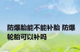 防爆胎能不能补胎 防爆轮胎可以补吗