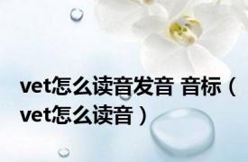 vet怎么读音发音 音标（vet怎么读音）