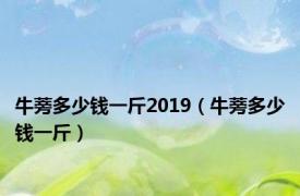 牛蒡多少钱一斤2019（牛蒡多少钱一斤）