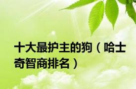 十大最护主的狗（哈士奇智商排名）