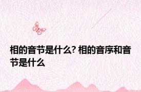 相的音节是什么? 相的音序和音节是什么