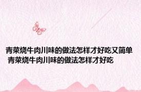 青菜烧牛肉川味的做法怎样才好吃又简单 青菜烧牛肉川味的做法怎样才好吃