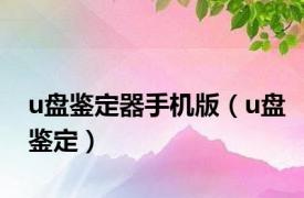 u盘鉴定器手机版（u盘鉴定）