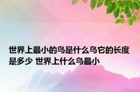 世界上最小的鸟是什么鸟它的长度是多少 世界上什么鸟最小