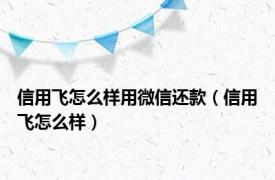信用飞怎么样用微信还款（信用飞怎么样）