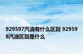 929597汽油有什么区别 929598汽油区别是什么
