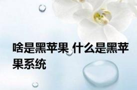 啥是黑苹果 什么是黑苹果系统