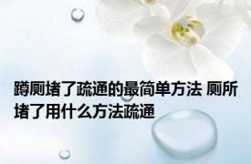 蹲厕堵了疏通的最简单方法 厕所堵了用什么方法疏通