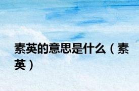 素英的意思是什么（素英）