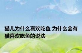 猫儿为什么喜欢吃鱼 为什么会有猫喜欢吃鱼的说法