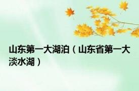 山东第一大湖泊（山东省第一大淡水湖）